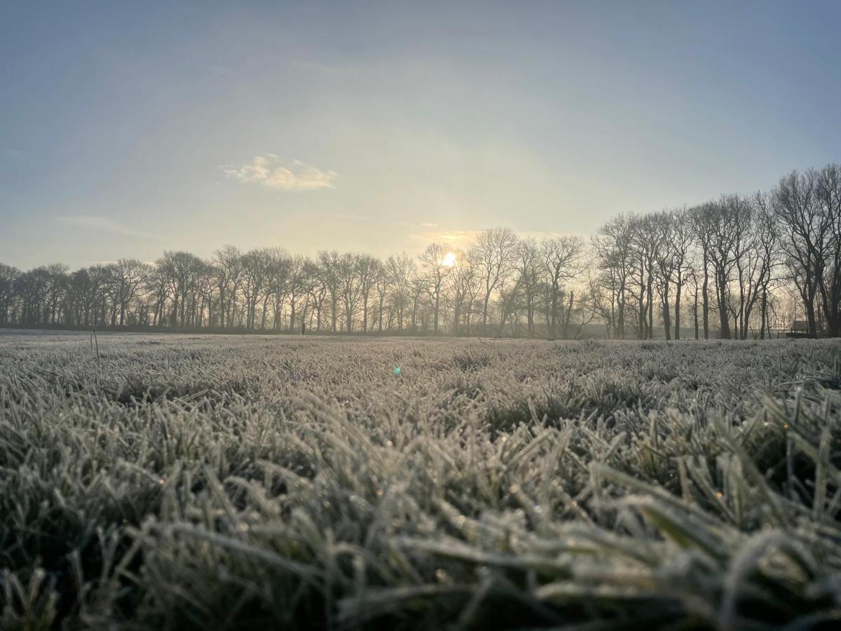 Der Valk Groningen-westerbroek 4*