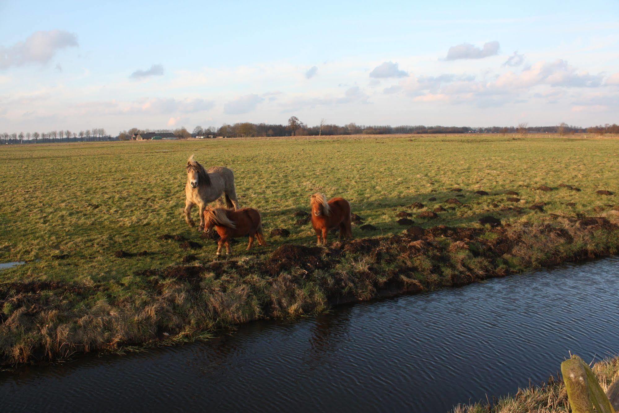 Der Valk Groningen-westerbroek